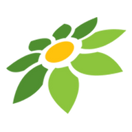 LINK FAFAPLAY